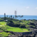 南房総の魅力：美しい自然とこだわりの特産品が楽しめる地域