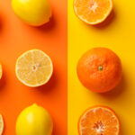 宝クラフトチューハイ：南房総の恵みを味わう「南房総夏みかん」と「南房総レモン」