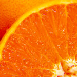 日本全国のみかんのお酒特集！フルーティーでジューシーな一杯を楽しもう！