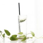 和の心が生み出す至高の一杯：京都蒸溜所が手掛けるクラフトジン