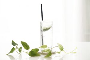 和の心が生み出す至高の一杯：京都蒸溜所が手掛けるクラフトジン