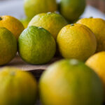 じゃばらって何？おいしいだけじゃなく意外な効能が！？